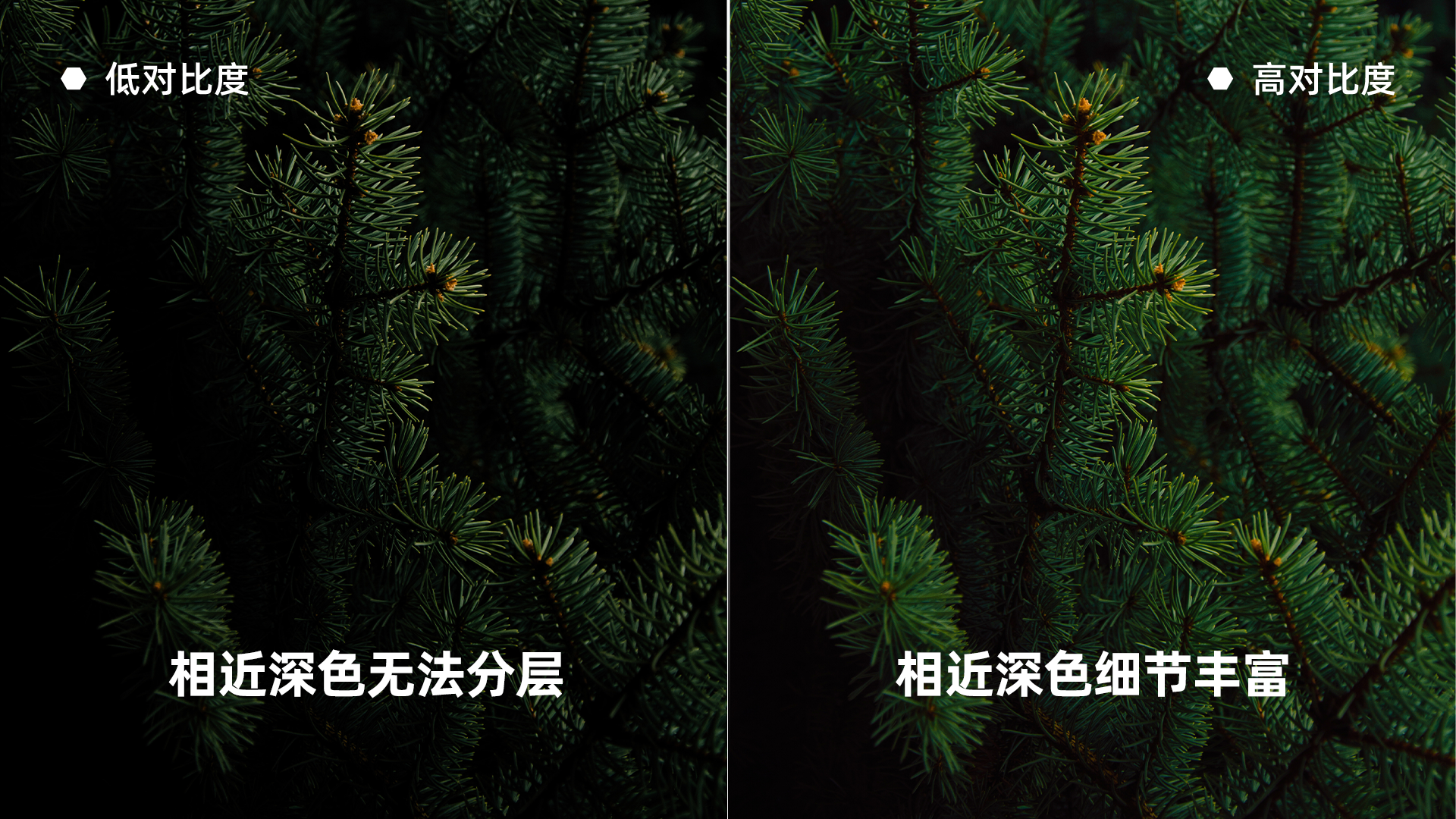 对比图-03.png